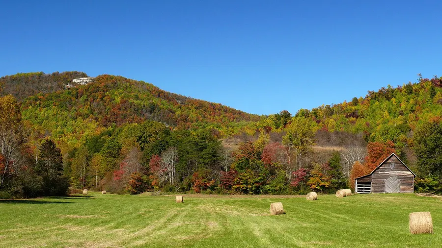 Autumn color on a Brushy Mountains ridge in Alexander County, with round hay bales in a mown field and a weathered wooden barn in front of the trees